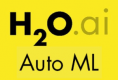 Image for H2O AutoML category