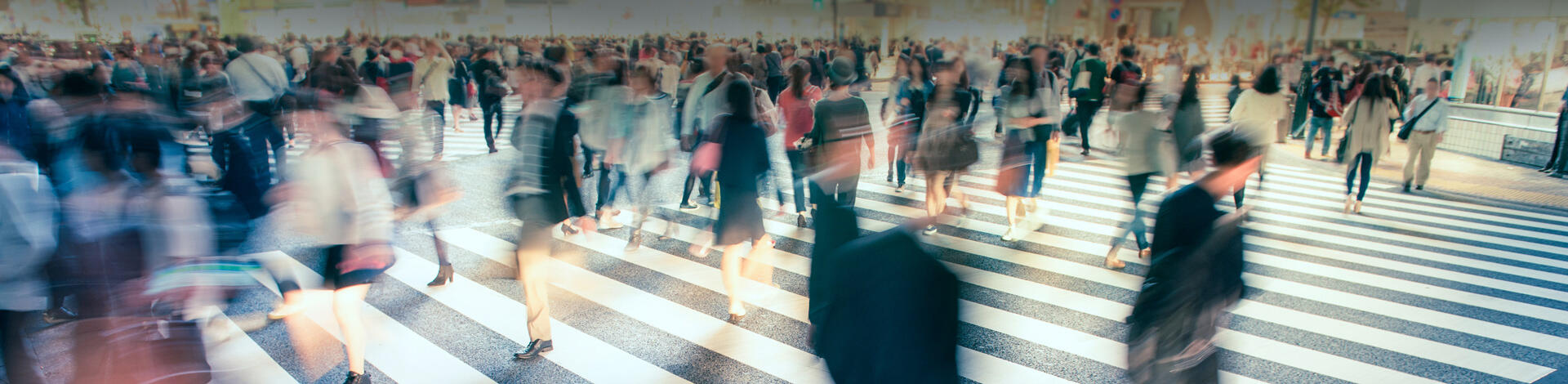 Training and Consultancy