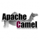 Εκπαίδευση Apache Camel στην Ελλάδα