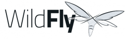 Εκπαίδευση Wildfly στην Ελλάδα